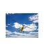 Balade aérienne près de Bordeaux : 45 min de vol en ULM autogire au-dessus de la Garonne - SMARTBOX - Coffret Cadeau Sport & Aventure