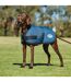 Weatherbeeta Comfitec Classic Parka Dog Coat (75cm) (Dark Blue) - UTWB1334