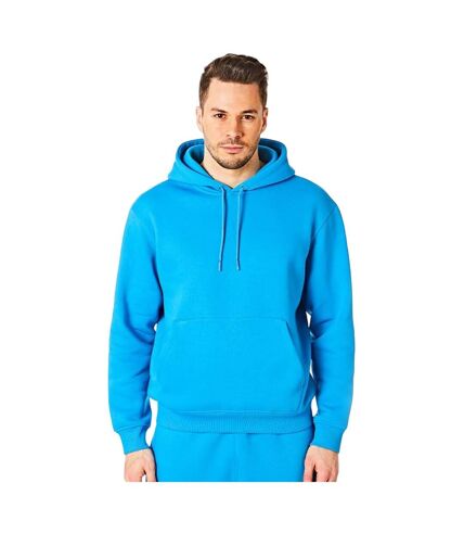 Mens pull over hoodie blue aster RIPT Essentials