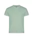 T-shirt Homme Vert Sauge Clique-2