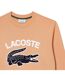 Sweat Homme Orange Lacoste-4