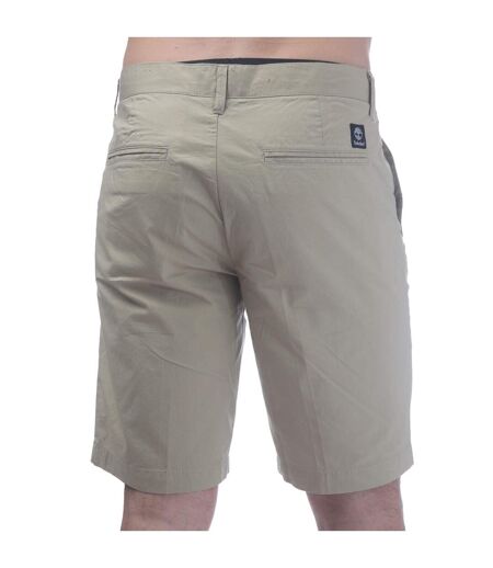 Short Chino Topsfield Homme Beige Timberland