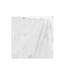 Nappe Antitache Imprimé Astrelia 140x240cm Blanc & Argent-2