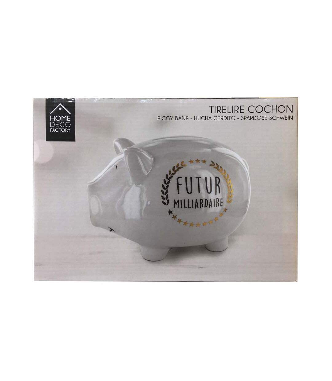 Tirelire cochon XXL Futur milliardaire-2