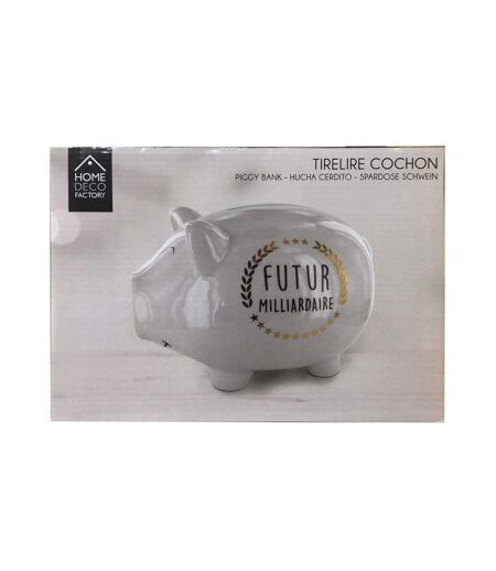 Tirelire cochon XXL Futur milliardaire