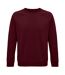 SOLS Unisex Adult Space Organic Raglan Sweatshirt (Burgundy)