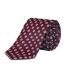Mens Daisy Silk Twill Tie One Size Burgundy Haines And Bonner-3