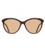 Lunettes De Soleil Motif/style Yeux De Chat Femme Taille Unique Marron Calvin Klein-1