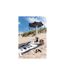 Sac de Plage Coquillages 46cm Naturel & Noir-3