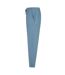 SF Unisex Adult Sustainable Cuffed Sweatpants (Stone Blue)