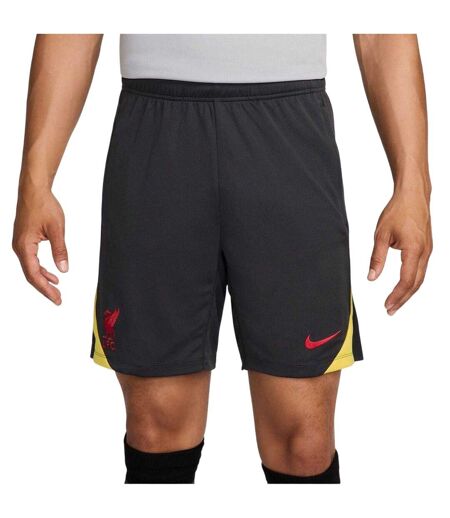 Unisex Adult Strike Liverpool Fc Football Shorts Grey Nike