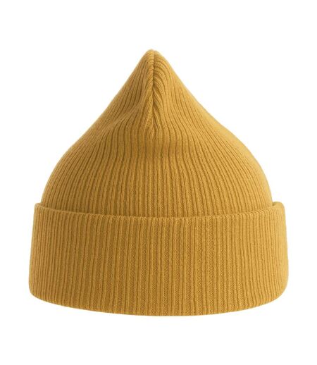 Atlantis Unisex Adult Nelson Ribbed Cotton Beanie (Mustard)