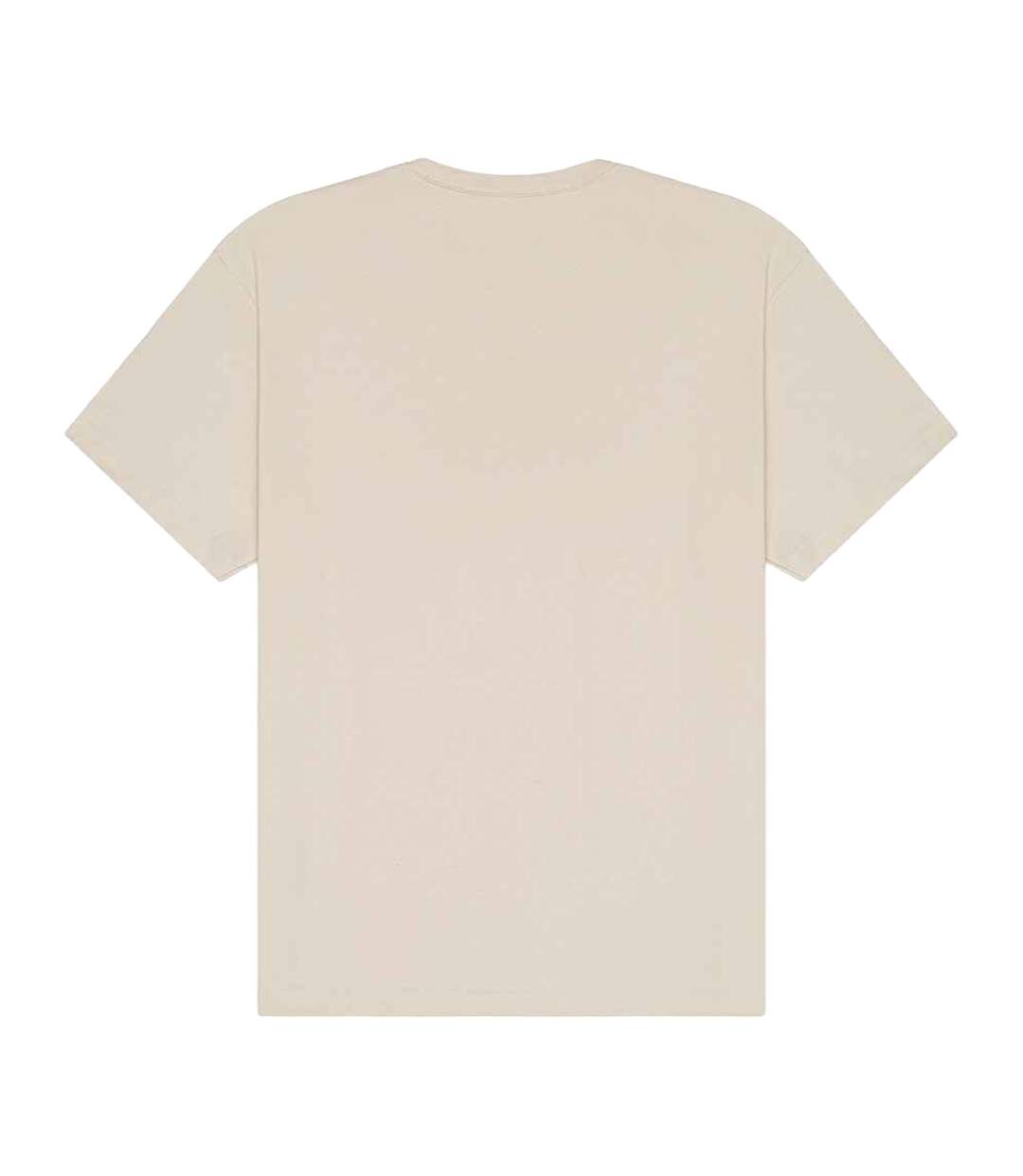 Unisex Adult Heavyweight T-shirt Dust Bella + Canvas-2