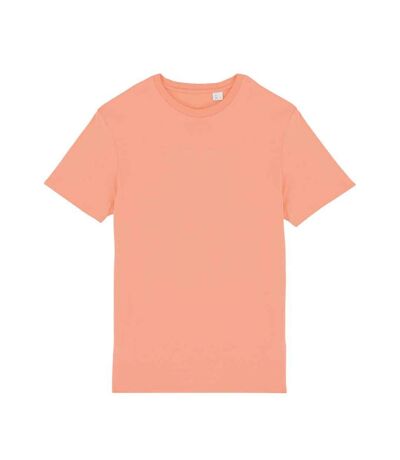 Native Spirit Unisex Adult T-Shirt (Apricot)