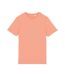 Native Spirit Unisex Adult T-Shirt (Apricot)
