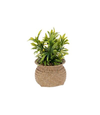 Plante Artificielle en Pot Jiling 20cm Beige