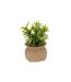 Plante Artificielle en Pot Jiling 20cm Beige