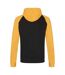 Sweat À Capuche Adulte Noir Vif Jaune Or Awdis-2