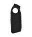 Roly Mens Oslo Insulating Body Warmer (Solid Black) - UTPF4307
