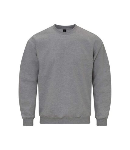 Gildan Unisex Adult Softstyle Fleece Midweight Sweatshirt (Sports Grey)