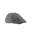 Casquette Plate Ivy Adulte Gris Beechfield-1
