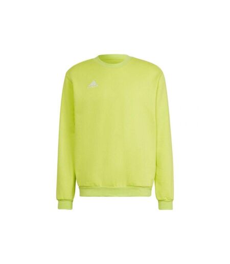 Sweat Entrada Homme Vert Adidas