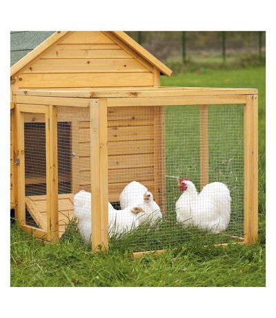 Poulailler Avistar ( 2 poules) - Ducatillon