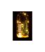 Cloche Déco Led en Verre Maison 27cm Marron-3