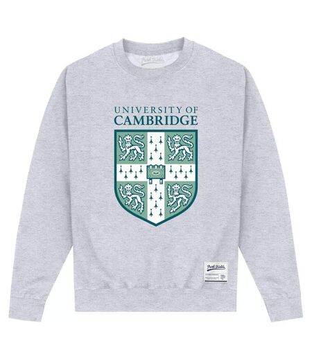 Sweat Adulte Gris Chiné Cambridge University