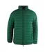 Doudoune Matelassée Sport Homme Vert Foncé Aquascutum-1