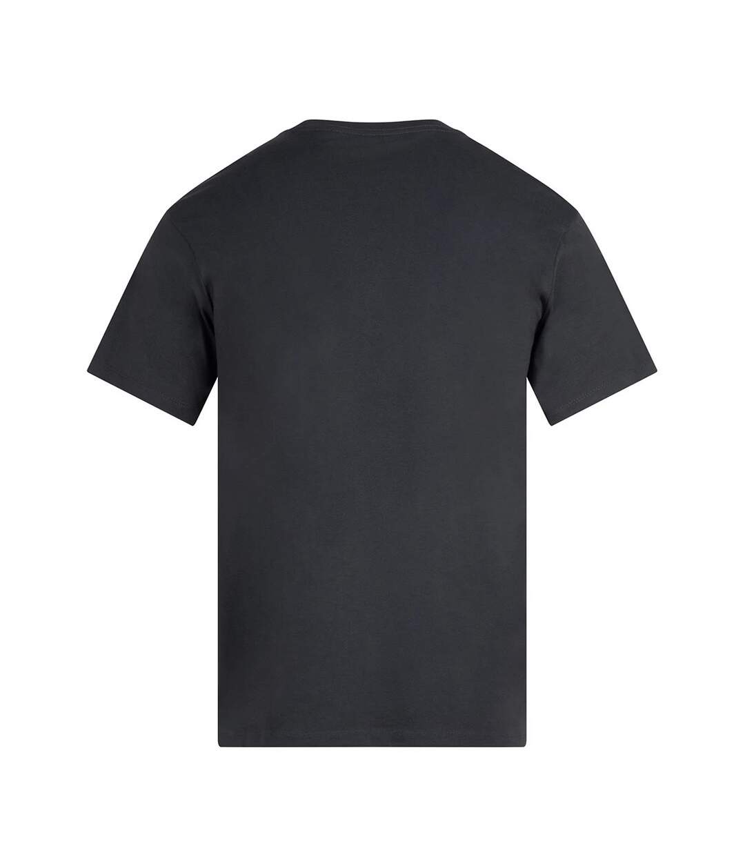 Unisex Adult Midweight Organic T-shirt Carbon Anthem-2