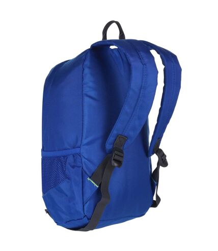 Regatta Jaxon III Backpack (10 Liters) (Cypress Green/Diva Pink) (One Size) - UTRG3256