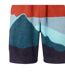 Unisex Adult Outback 2024 British & Irish Lions Rugby Shorts Rainy Day Canterbury-3