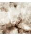 Plaid imitation fourrure Opulence - 200x140cm - marron et beige