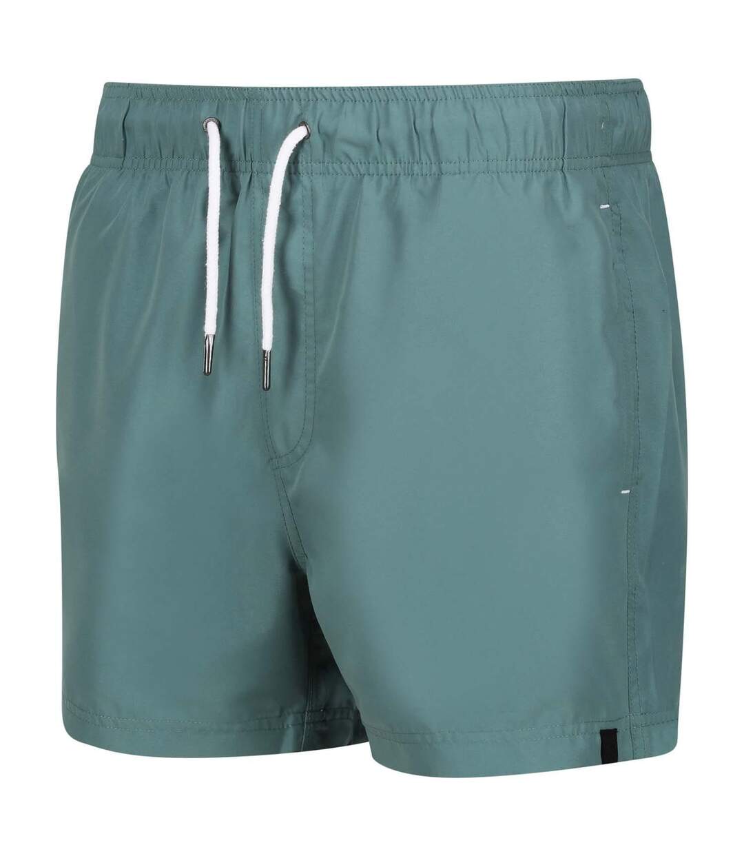 Short De Bain Mawson Homme Bleu Sarcelle Regatta-3
