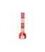 Diffuseur de Parfum Izor 50ml Fruit des Bois-2
