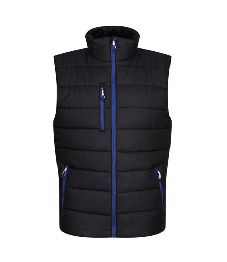 Veste Sans Manches Navigate Homme Noir Bleu Roi Regatta