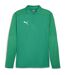 Mens Teamfinal Quarter Zip Training Fleece Top Green Silver Puma-1