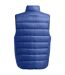 Mens Legend Down Filled Gilet Blue Under Armour-3