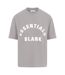 Womens/ladies Oversized Boyfriend T-shirt Alloy Blank Essentials-1