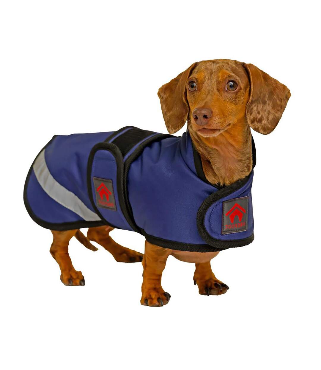 Dachshund fleece lined outdoor dog coat m/l-18cm navy Firefoot-1