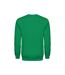 Sweat Adulte Vert EXCD By Promodoro-2