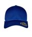 Flexfit Unisex Adult 110 Mesh Two Tone Cap (Royal Blue/White)