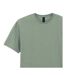 Unisex Adult Cotton Lightweight T-shirt Sage Gildan-3