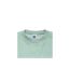 Mens Authentic Sweatshirt Slimmer Cut Eucalyptus Russell-2