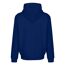 Sweat à capuche homme bleu marine RIPT Essentials-2