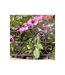 Bordure de jardin en fonte Valentine (Lot de 24) Lot de 24