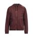 Blouson Aviateur Homme Chocolat Emporio Armani-2
