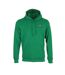 Sweat vert homme le coq sportif hoody-1