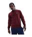 Sweat Motif/style Logo Club Homme Bordeaux Nike-2